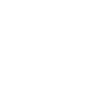 BALDAYA AGENCY